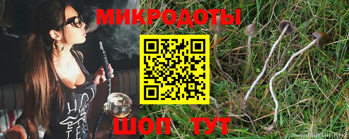 Реж  Галлюциногенные грибы прущие грибы  Галлюциногенные грибы прущие грибы  Вход с VPN 
