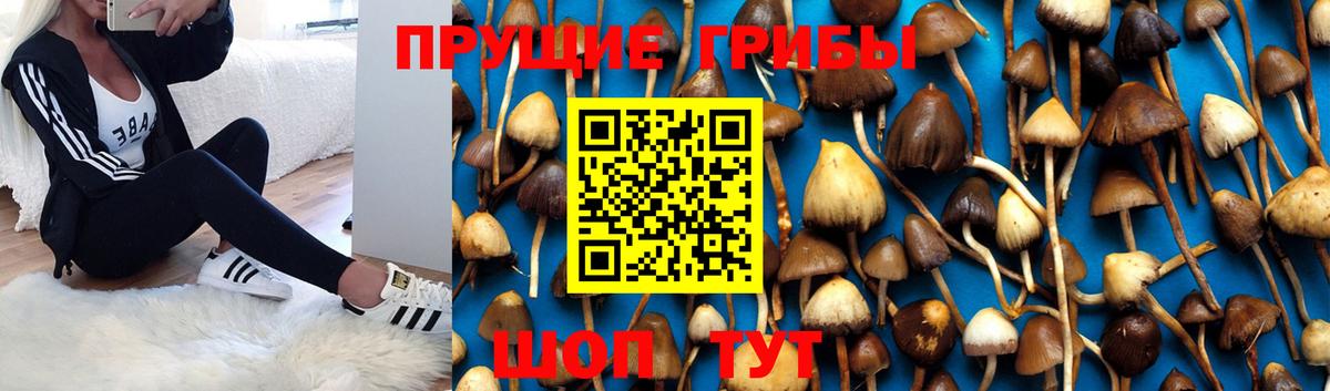 Псилоцибиновые грибы ЛСД Реж