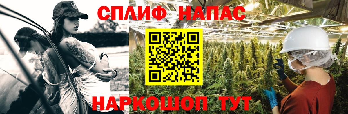 Бошки Шишки MAZAR  Канабис OG Kush  Реж  Канабис Bruce Banner  Вход с VPN 